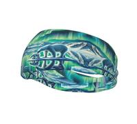 Fascia per capelli da uomo, da corsa, da donna, Aurora, Save Polar Bear, sportiva, per corsa, basket, fitness