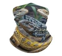 Fascia per Capelli Different Types of Lizard Antivento Protezione del Viso Traspirante Headwrap per Donna Sports 26X30cm
