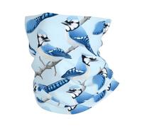 Fascia per Capelli Funny Blue Jay Birds Retro Sportiva Headwrap Antivento Ghetta per attività Sports Yoga