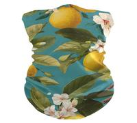 Fascia per Capelli Lemon Lime Fruit Flower Sportiva Sciarpa al Collo Multiuso Ghetta da Collo per Campeggio attività Adulto