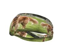 Fascia per il sudore decorativa alla moda sportiva FUUNTL carina golden retriever Picture Fasce per uomini e donne