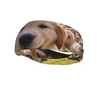 Fascia per il sudore decorativa alla moda sportiva FUUNTL Golden Retriever Cuccioli Picture Fasce per uomini e donne