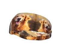 Fascia per il sudore decorativa alla moda sportiva FUUNTL Lovely Golden Retriever Dog Picture Fasce per uomini e donne
