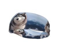 Fascia per il sudore decorativa alla moda sportiva FUUNTL Siberian Husky Picture Fasce per uomini e donne