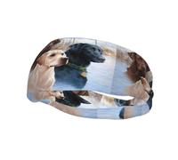 Fascia per il sudore decorativa alla moda sportiva YYHHAOFA Labrador Retrievers stampata fasce per uomini e donne