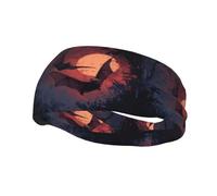 Fascia per il sudore decorativa alla moda sportiva YYHWHJDE Bats in the Dark Pattern Fasce per uomini e donne