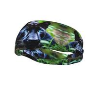 Fascia per il sudore decorativa alla moda sportiva YYHWHJDE Panther con occhi azzurri per uomini e donne