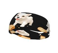 Fascia per il sudore decorativa sportiva alla moda WHJSSF Piccolo cane bianco che mangia pane Stampa traspirante elastico adatto per ciclismo yoga corsa