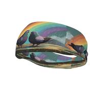 Fascia per il sudore decorativa sportiva alla moda YYHWHJDE Pigeons Under the Rainbow Pattern Fasce per uomini e donne