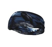 Fascia per il sudore decorativa sportiva alla moda YYHWHJDE Raven in the Night Pattern Fasce per uomini e donne