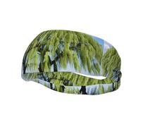 Fascia per il sudore decorativa sportiva alla moda YYHWHJDE Willow Tree Pattern Fasce per uomini e donne