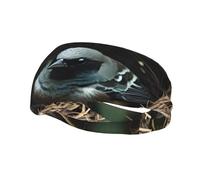 Fascia per il sudore decorativa YYHWHJDE Little Bird Nest Pattern Fasce per uomini e donne