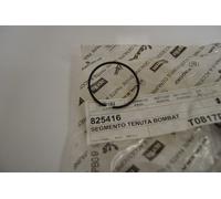 Fascia pistone Piston ring Piaggio Fly 2T 50 06-11 Diesis 50 Liberty 50 06-13