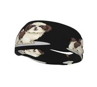 Fascia sportiva alla moda YUGTAEE Shih Tzu Dog Picture Fasce Assorbe il sudore per uomini e donne