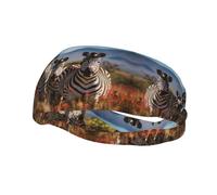 Fascia sportiva decorativa per il sudore BROLEO Zebre sul Sud Africa, elastica, traspirante, morbida e traspirante, fascia per uomini e donne