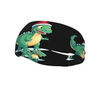 Fascia sportiva decorativa YYHWHJDE Christmas Dinosaur On The Snow Pattern - elastica, traspirante, morbida e traspirante per uomini e donne