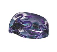Fascia sportiva per capelli Purple Dragon Moon per uomo e donna, ampia fascia elastica per capelli, traspirante, per allenamento, antisudore, alla moda, antiscivolo, ideale per corsa, yoga e fitness.