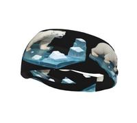 Fascia sportiva versatile YYHWHJDE Polar Bear on Ice Prints - Fascia elastica e traspirante per yoga, fitness