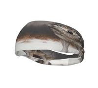 Fascia tergisudore con due lupi sulla neve, unisex, elastica, traspirante e traspirante