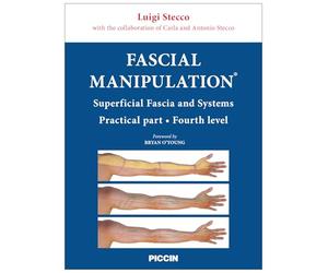 Fascial manipulation. Superficial fascia and systems. Practical part-fourth level