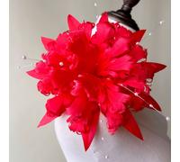 Fascinating Modisteria Piume Fiore Alla Moda Colorato Piume Craft