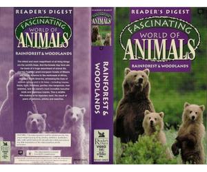 Fascinating World of Animals - Rainforests and woodlands