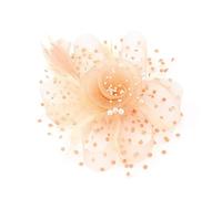 Fascinators per Capelli da Donna Cappello Da Festa Con Fascinator, Decorazione Floreale Piume In Rete, Copricapo Sposa, Perle Finte, For La Testa, Accessori For Capelli Per le feste(Champagne)