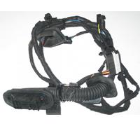 Fascio Cavi Porta Posteriore Destra BMW E65 6918782 Nuovo Originale