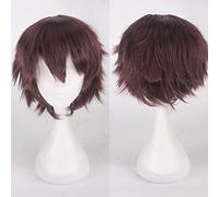Fashion Cheap Short Cosplay Wig Men Heat Resistant Synthetic Hair Halloween Costume Party Wigs Peruca + Wig Cap OneSize picturecolor