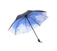 Fashion Flowers Rain Flower Foldable Umbrella Parasol for Women Windproof Umbrellas Female (Color : A) (C)
