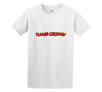 Fashion T-Shirt Flamin Groovies Logo Black L