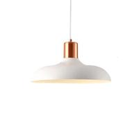 Fashionable Elegant Hanging Lights Industrial Metal Pendant Lamp Fashionable Scandinavian Chandelier LED Suspensiom Lamp Lighting Fixture for Restaurants Office Light Bar Coffee Shop