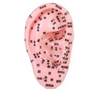 FashionCha Acupoint dell'orecchio umano, modello di insegnamento dell'orecchio, assistenza didattica, strumento di pratica del massaggio per dimostrazione