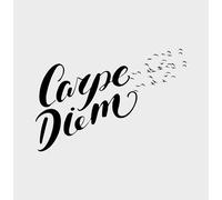 FASHWORK Adesivo murale wall sticker Carpe diem - adesivo simpatico - idea regalo per la casa Dimensioni 45x30 cm
