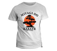 fashwork Tshirt Karate Palestra - Miyagi do Karate - Maestro