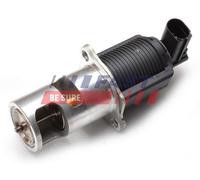 FAST FT60213 Valvola EGR