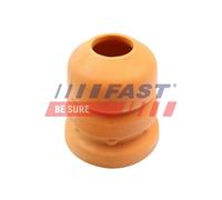 FAST Ammortizzatore Sospensione Posteriore Per Ford Transit Connect P65_ P70_