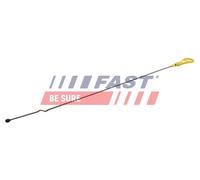 FAST Astina per Ford Kuga II DM2 1.5 Ecoboost 1.6 C-Max / CB7 Dxa / Ceù