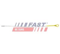 FAST Astina per Ford Transit Pritsche/Telaio Fm _ FN_ 2.4 TDCI RWD
