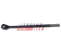FAST Barra stabilizzatrice Barra Stabilizzatrice FT20124 inferiore Anteriore 445