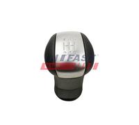 FAST FT00093 Pomello cambio