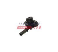 FAST FT00219 Pompa depressione, Sistema frenante per CITROËN,DS,FORD,MITSUBISHI,