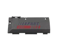 FAST FT00392 Maniglia portiera, Equipaggiamento interno per FORD