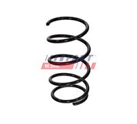 FAST FT01929 Molle ammortizzatori