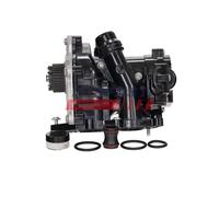 FAST FT03371 Pompa acqua ausiliaria