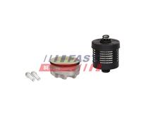 FAST FT04301 Filtro, Sistema idraulico di lavoro