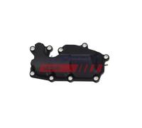 FAST FT04391 Valvola, Ventilazione carter