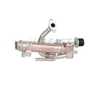 FAST FT05098 Radiatore EGR