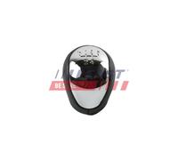 FAST FT09045 Pomello leva cambio per HYUNDAI,KIA