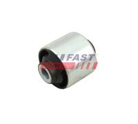 FAST FT10078 Sospensione, Motore